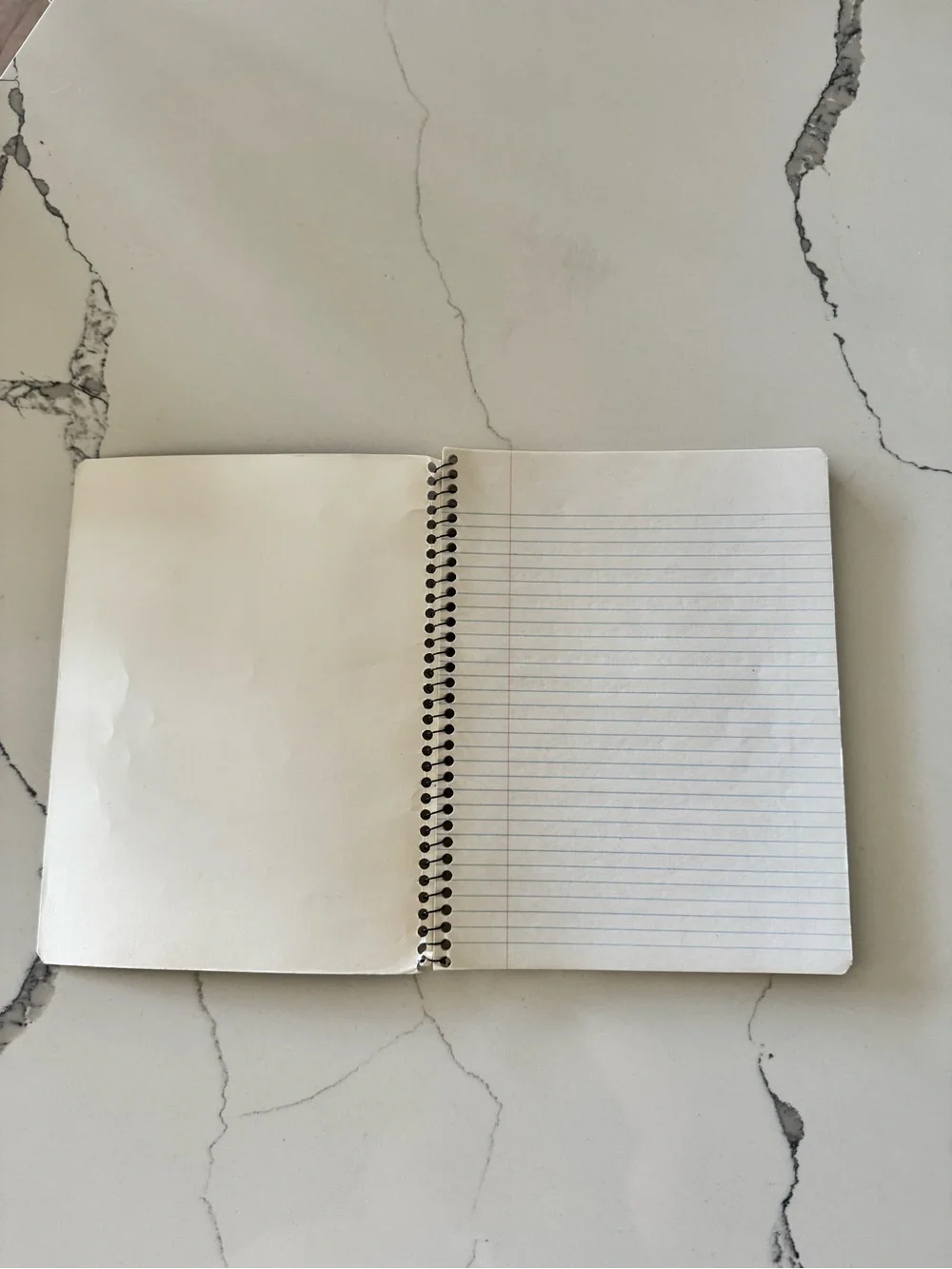 Vintage Mead Spiral Notebook